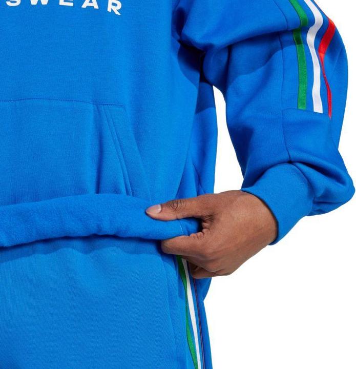 Produktbild Adidas Sweatshirt „House of Tiro Nations Pack“ (L)