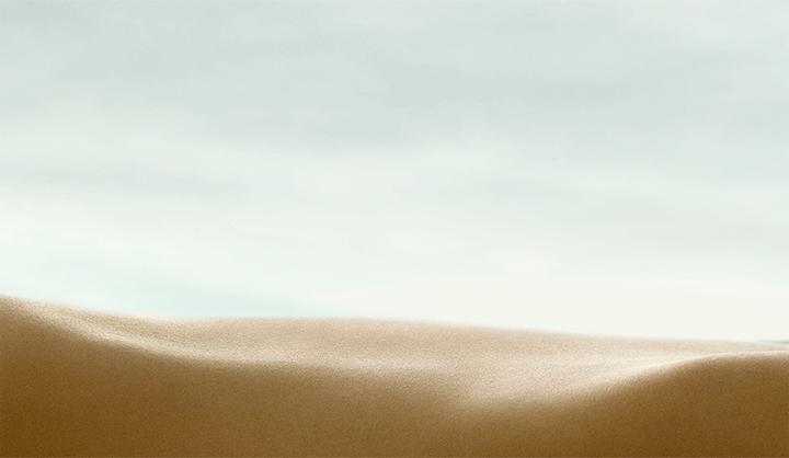 Actual product image Le Petit Olivier Fleur d'Oranger (Liquid soap, 300 ml)