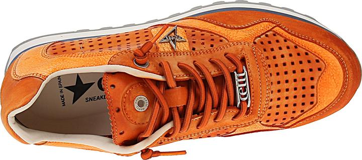 Image du produit Cetti C-848 V25-26 (41)