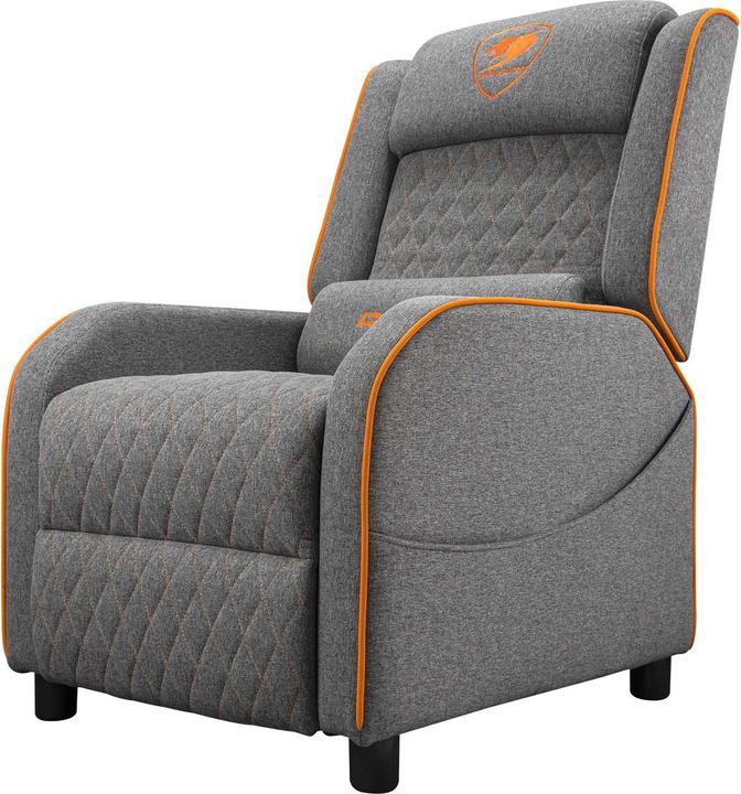 Actual product image Cougar Ranger One