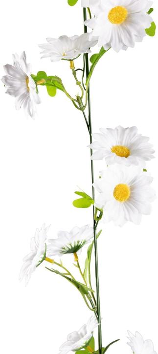 Image du produit Dekomat Pâquerette (180 cm)