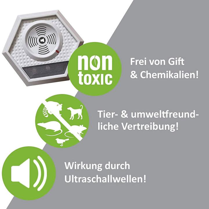 Produktbild Isotronic Ultrasonic XL 800