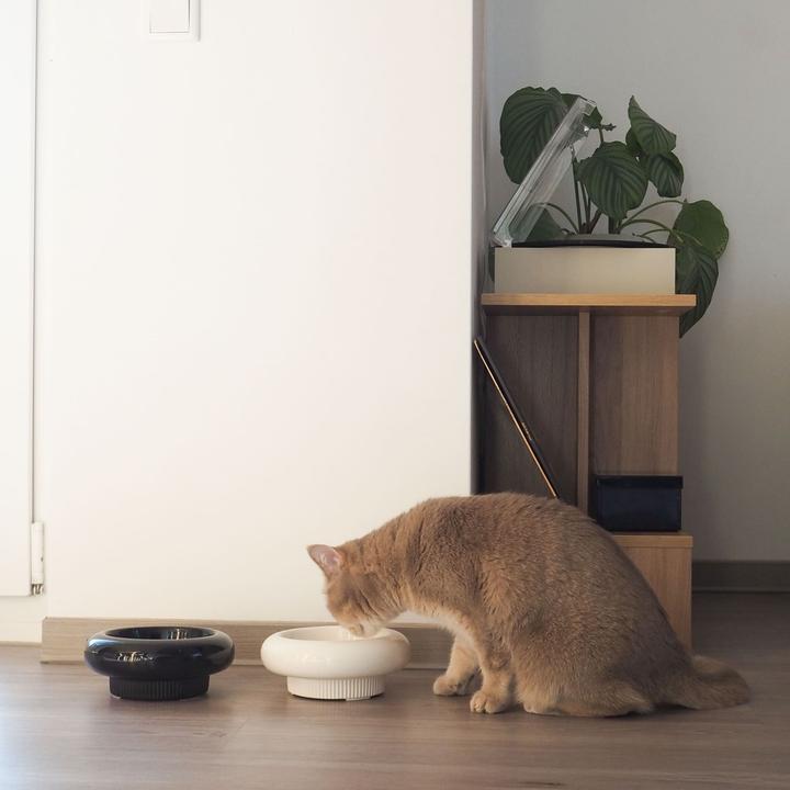 Image du produit LucyBalu MYCO Katzennapf