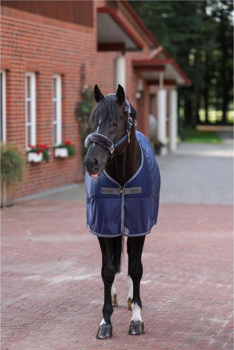 Produktbild Bucas Coolerdecke Competition Show-Line (135 cm)