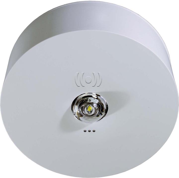 Actual product image Rp-Group RP-Technik emergency luminaire SC, 3h ILDK423SC