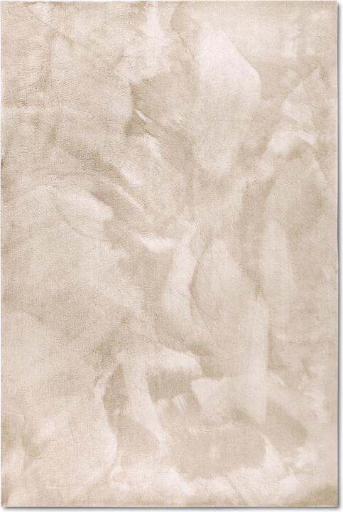 120 x 170 cm