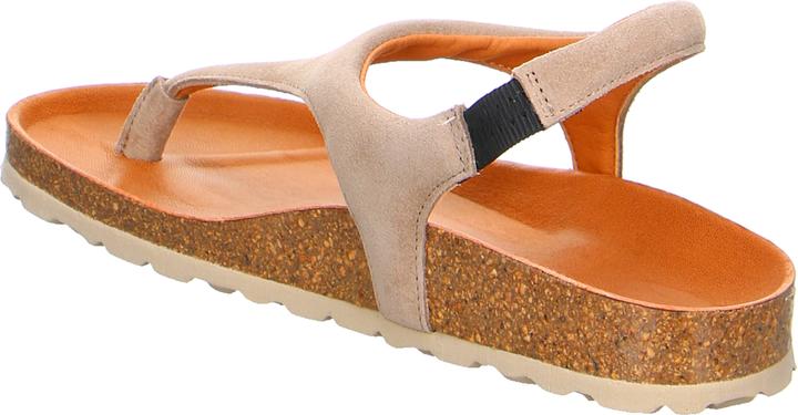 Actual product image Verbenas REAGAN Piedra (40)