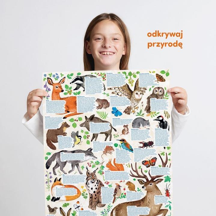 Produktbild Czuczu Entdeckerpuzzle - Tierwelt 300 Teile (300 Teile)