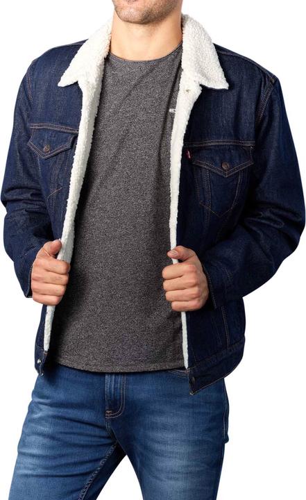 Produktbild Levis Type 3 Trucker Jacket rockridge sherpa