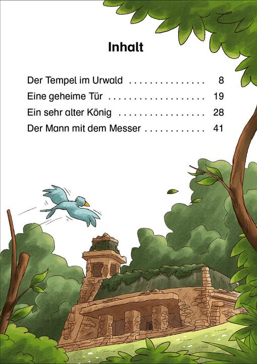 Image du produit Leselöwen 2. Klasse - Abenteuer im Maya-Tempel (Allemand, Anni Möwenthal, Dominik Rupp, Livres de première lecture Loewe, 2021)