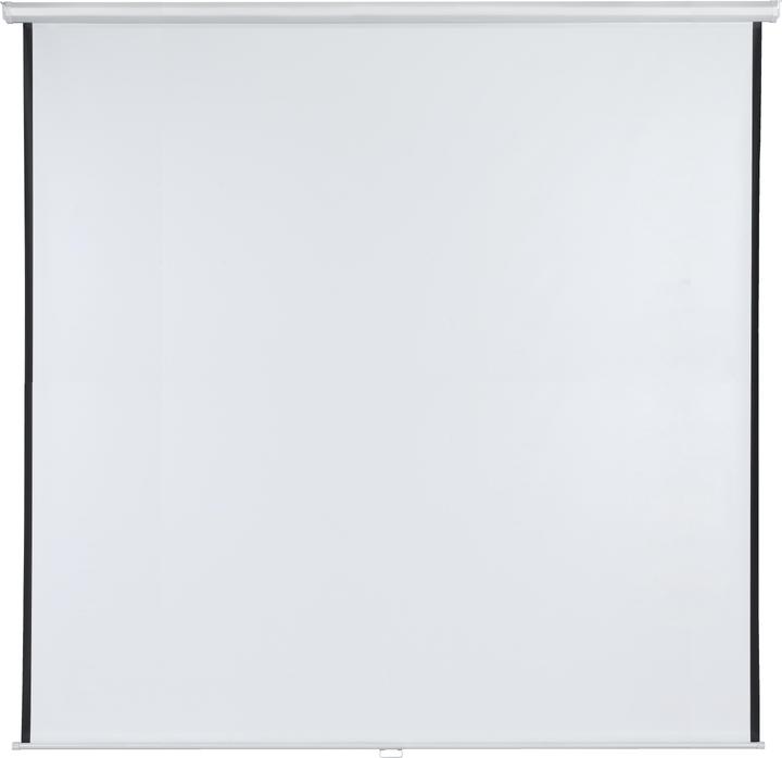 Actual product image Franken Rollo screen 240 x cm projection surface (94.49", 1:1)