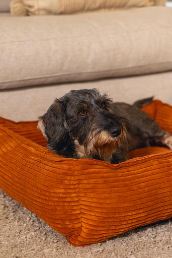 Actual product image Designed by Lotte Ribbed (Dog)