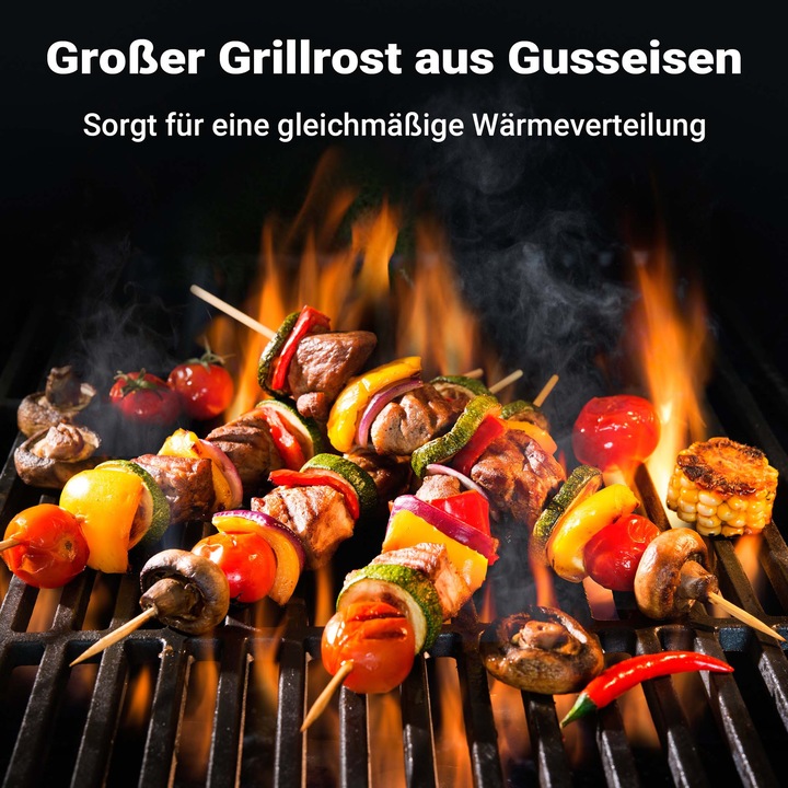 Produktbild Wiltec Gusseisen Grillrost 46,7x22,8x0,9cm Grill Rost Grillzubehör BBQ Gussrost