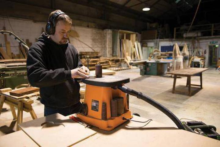 Actual product image Triton Tools Oscillating spindle grinder (Sander, 450 W)
