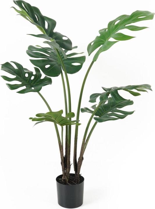 Produktbild present time Monstera (89 cm)