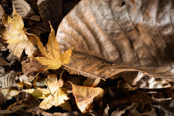 Produktbild Sigma 24mm F3,5 DG DN Contemporary Sony-E (Sony E, Vollformat)