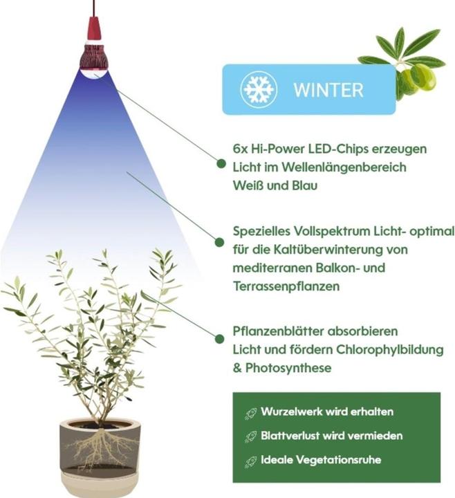 Actual product image Venso Grow Light Winter (LED)