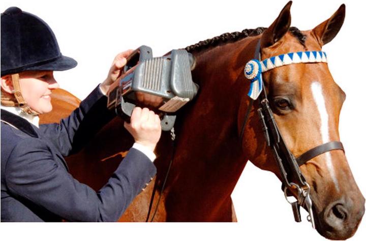 Image du produit Thumper Appareil de massage Equine Pro