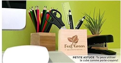 Image du produit Feel Green Ecocube (Graines de fleurs)