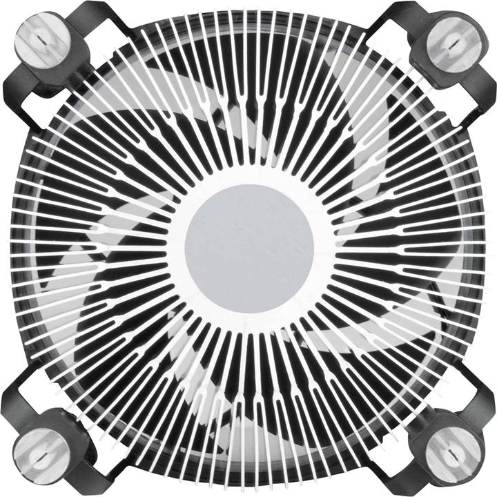Produktbild Arctic Alpine 17 CO (77 mm)