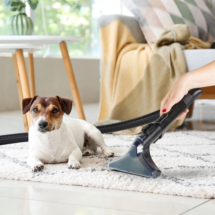 Actual product image Domo DO250SC