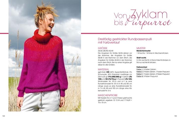 Actual product image Pullover mit Rundpassen stricken (German, Rebecca Trade, 2022)