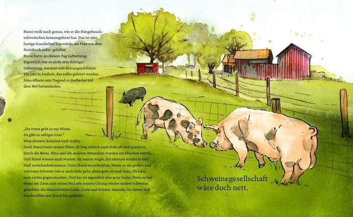 Produktbild Ein Buch für Hansi (Deutsch, Sandra Niermeyer, Linda Mieleck, 2022)