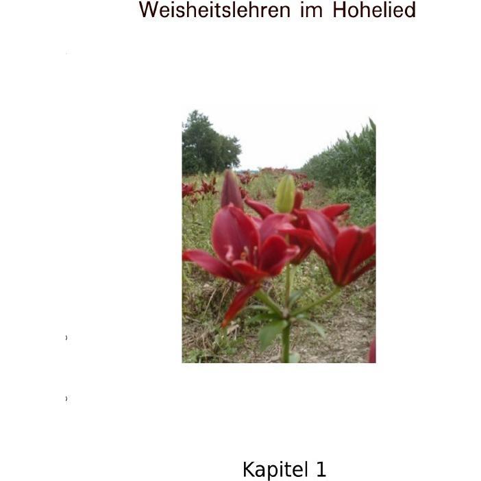 Weisheitslehren im Hohelied, Sachbücher von Magda Heigl
