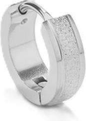 Actual product image Radiant Earrings (Silver)