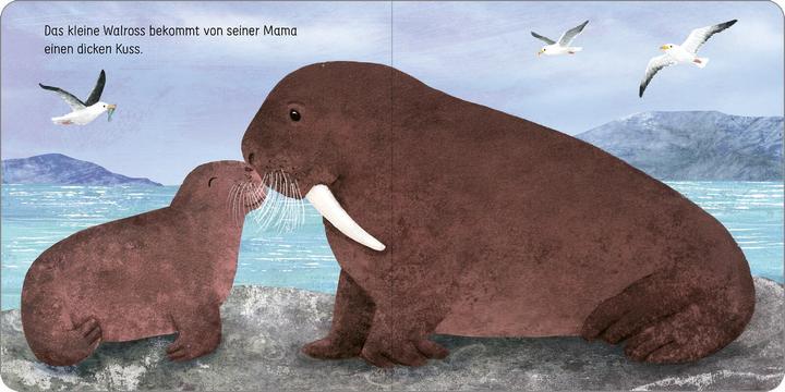 Image du produit Viens te blottir, petit phoque! (Allemand)