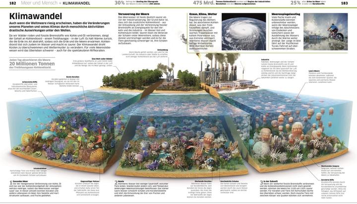 Actual product image Wissen. Ozeane (German, John Woodward, Derek Harvey., Nicola Temple, 2021)