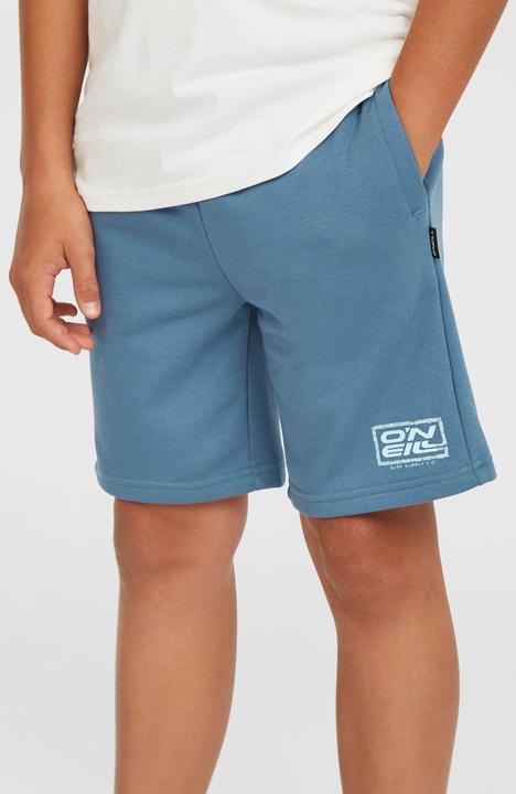 Image du produit O'Neill Logo Sweatshorts (164)