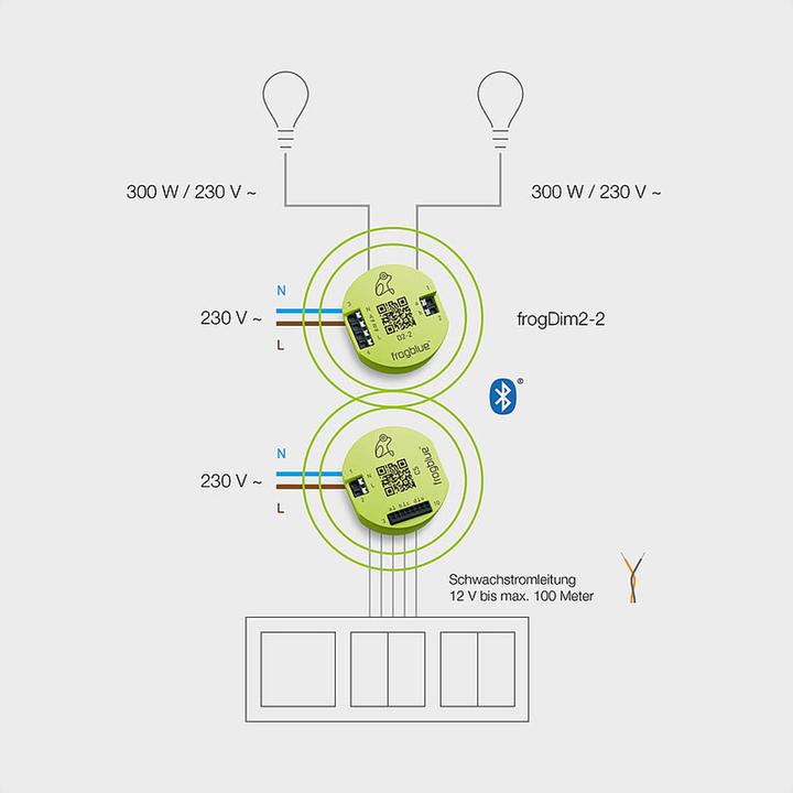 Actual product image Frogblue 5-channel extra-low voltage input, frog Contact 5