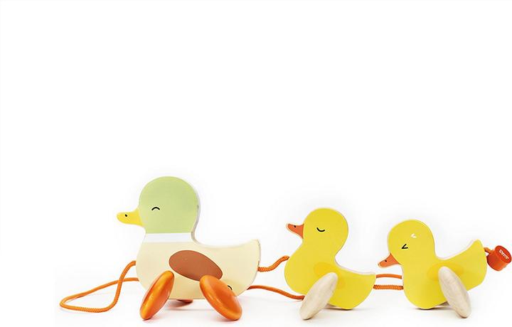 Image du produit Classic World Canard à poils longs