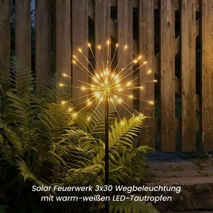 Actual product image Star Trading Firework (IP44)