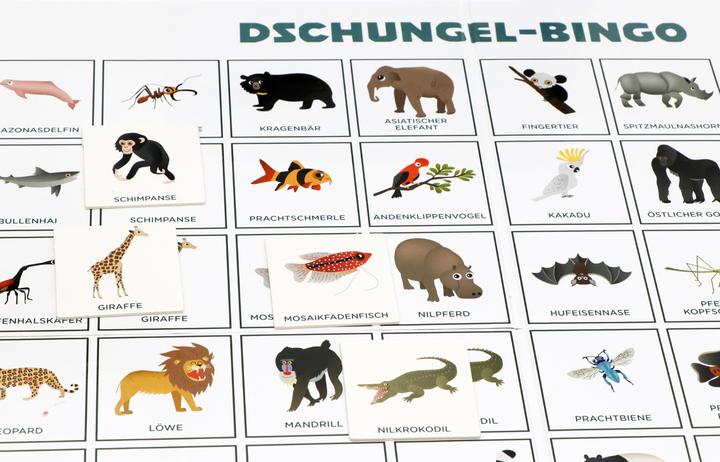 Produktbild Dschungel-Bingo (Deutsch)