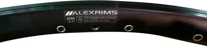 Actual product image BiXS Rim Alex DM-21, 700Cx32L. Disc (275.59")