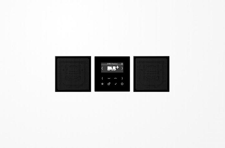 Productafbeelding JUNG Slimme radio DAB+ DABLS2SW (DAB+, WiFi)