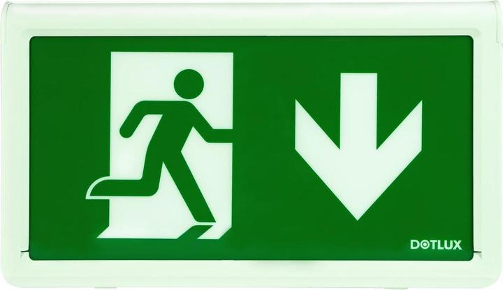 Actual product image Dotlux DOTL LED emergency light