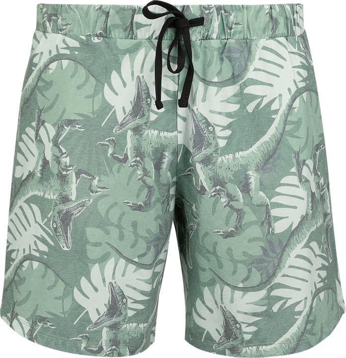 Produktbild Jurassic Park Jurassic World (S)