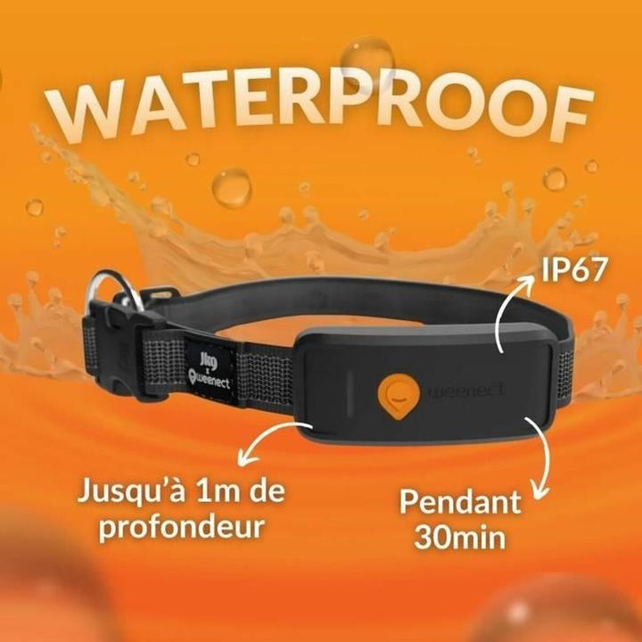 Image du produit Weenect Traceur GPS pour chiens (Chien, Général)