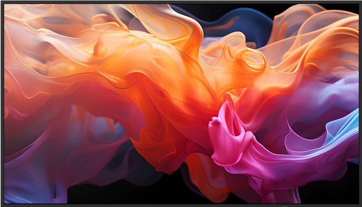 NEC Sharp Large Format Display E659 (3840 x 2160 pixel, 65")