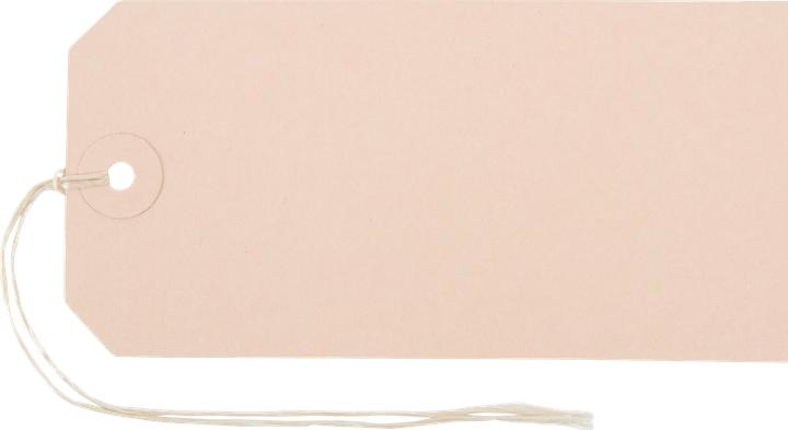 Actual product image Biella Attachment labels (50x)