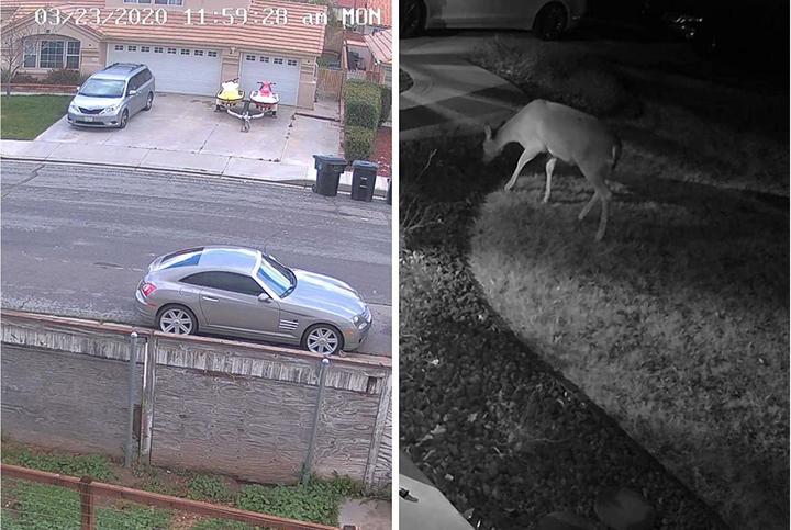 Actual product image Reolink RLC-822A (3840 x 2160 pixels)