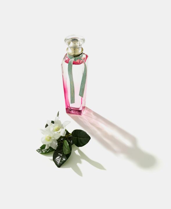 Produktbild Adolfo Dominguez Agua Fresca Gardenia Musk Edt. Spray 120ml (Eau de Toilette, 120 ml)