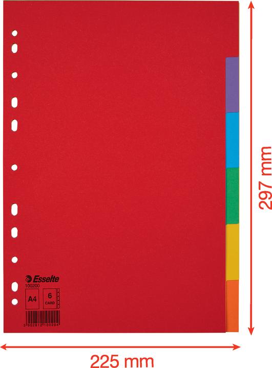 Esselte Indice cardboard blank Economy