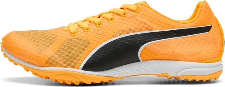 Image du produit Puma evoSPEED Haraka 8 Unisex Spikeless (13)