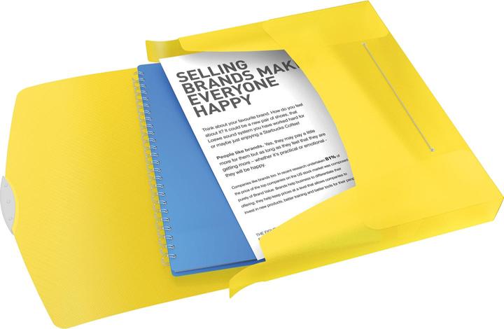 Actual product image Esselte Box File VIVIDA (A4, 1 x)