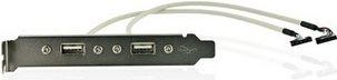 Image du produit Delock Support de fente 2x USB 2.0 à 10 broches (0.30 m, USB 2.0)