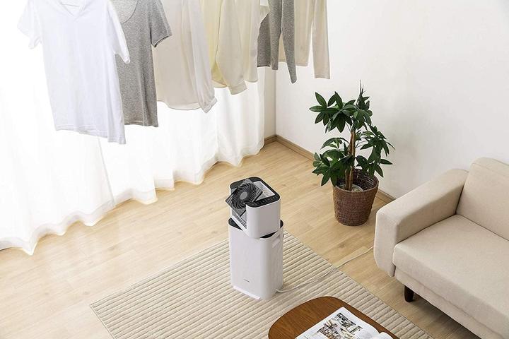 Actual product image Iris Ohyama DDC-50 (21 m²)